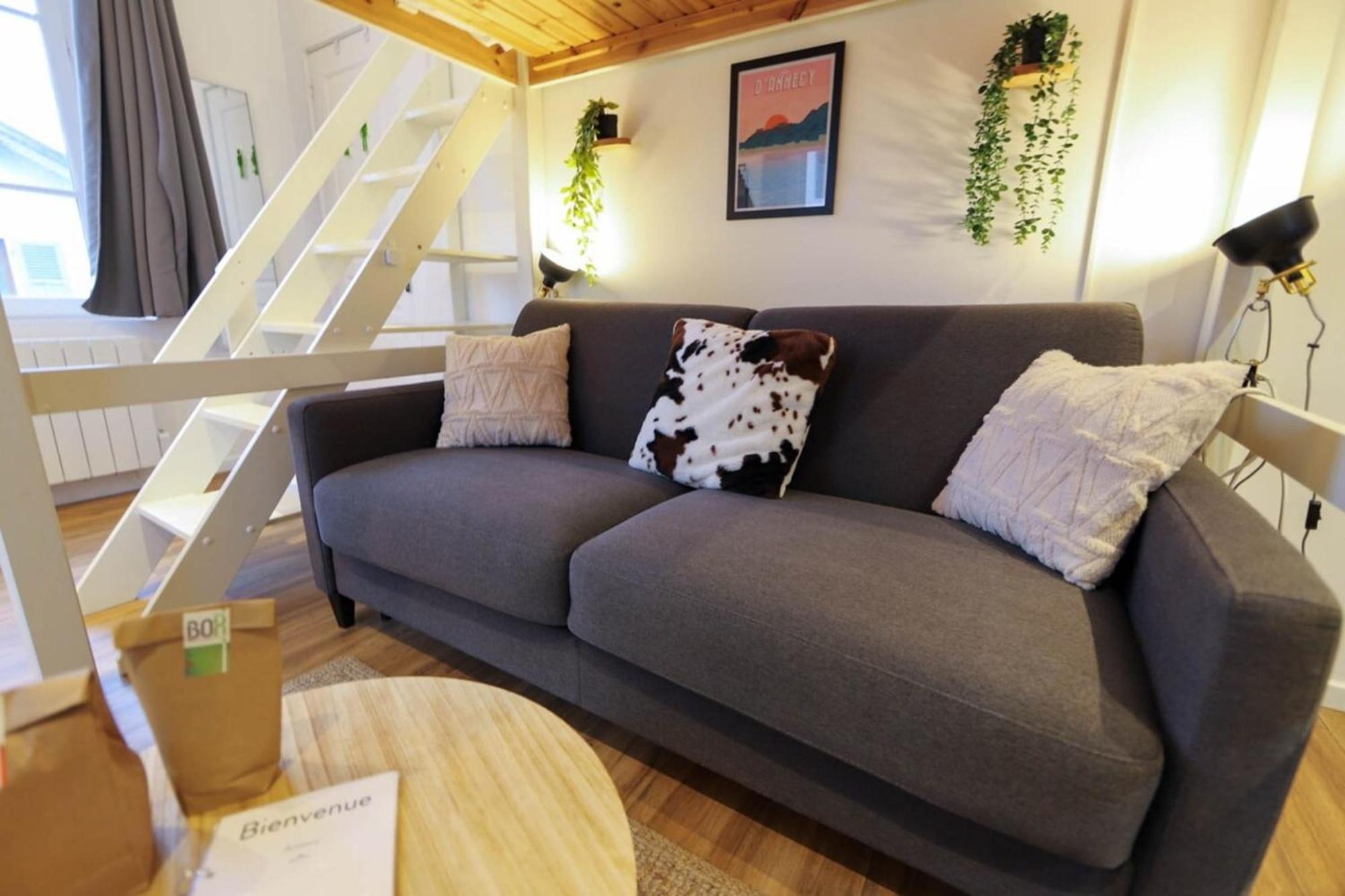 Le Petit Plus - Studio Confortable Avec Parking Apartment Annecy Ngoại thất bức ảnh